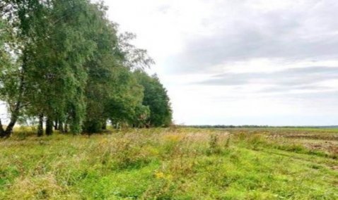 До конца года в городском округе Кашира могут определить нового владельца участков за 2,5 миллиона евро