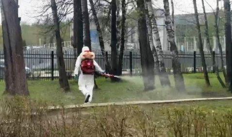 Каширские парки обрабатывают от клещей: вход для посетителей временно закрыт