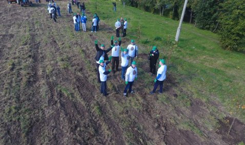 В рамках акции «Наш лес» в округе вновь сажали деревья