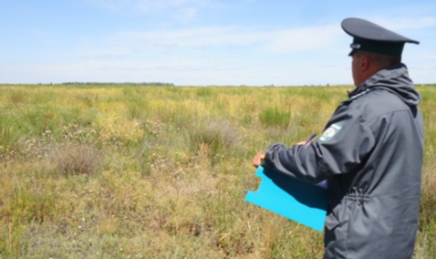 Суд оштрафовал каширского предпринимателя за ненадлежащее содержание сельскохозяйственного участка