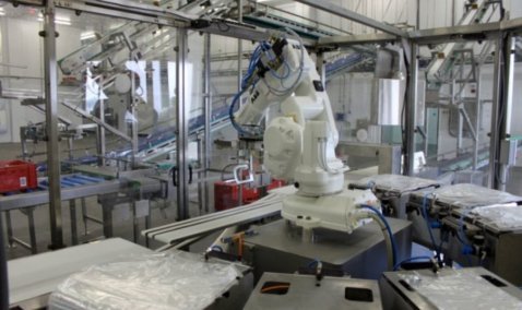 На новом заводе «Черкизово» в Кашире идут пуско-наладочные работ - ожидается визит министра