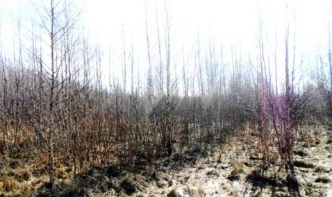 Каширские фермеры получили предостережение от надзорных органов за 41 гектар неиспользуемой земли