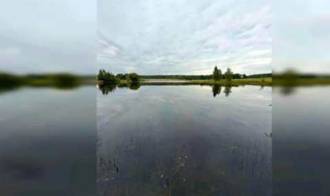 В Руднево использовали амфибии, чтобы очистить деревенский пруд