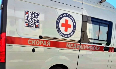 Женщина в Кашире пострадала в аварии после столкновения машины с лосем