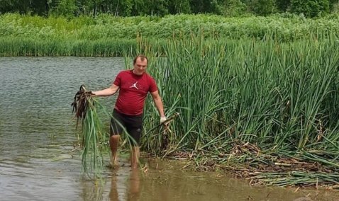 Два пруда в Кашире участвуют в голосовании по очистке