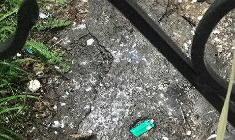 Женщина в Кашире-2 избавляется от мусора через окно, «украсив» деревья отходами жизнедеятельности