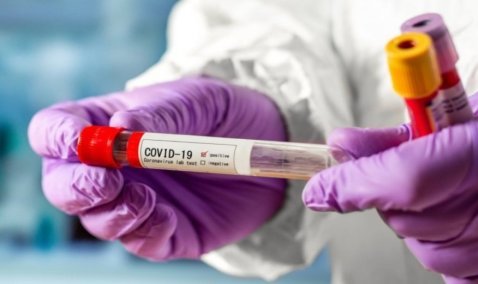 В Каширской ЦРБ рассказали о порядке тестирования на коронавирус перед 1 сентября