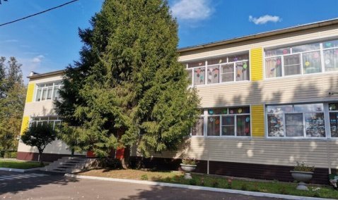 Перемены в детских садах Каширы: новые окна и модернизация спортивной площадки