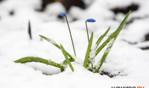 Зимний «нежданчик»: больше 10 сантиметров снега выпало посреди весны в Кашире