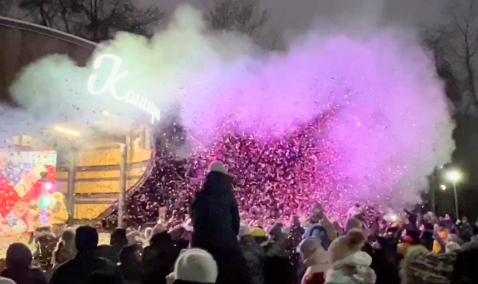 В Каширском парке зажгли огни на новогодних елках