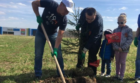 Более 300 деревьев высажено в ходе акции "Лес Победы"