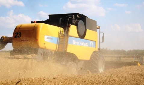 Каширские аграрии достигли рекордного урожая озимой пшеницы