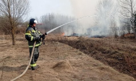 Полыхающая трава едва не перекинулась на заправку в Кашире