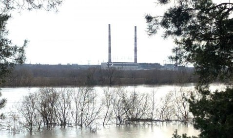 В Кашире уровень воды в Оке продолжает идти на спад