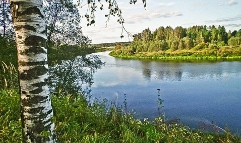 В деревне Елькино запланирован капитальный ремонт плотины пруда