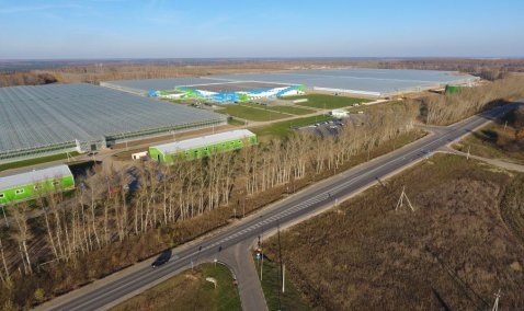 Минтранс подтвердил планы строительства новой автодороги в городском округе Кашира