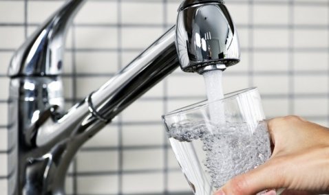 Роспотребнадзор подал судебный иск на МУП «ПТК» за невыполнение требований санитарного законодательства