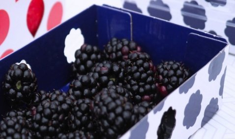 В Кашире собрали треть всего объема ягод в Подмосковье