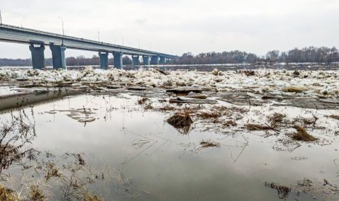 Вода пребывает: Кашира в ожидании ледохода на Оке