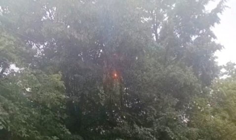 В Кашире из-за непогоды горят линии электропередач