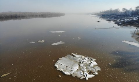 В Кашире уровень воды в Оке за сутки прибавился более чем на 2 метра