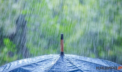 Дождь с грозой ожидаются в ближайшие часы