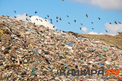 Деревню Тарасково завалили отходами