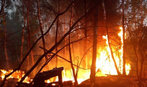 У платформы «Тесна» горят старые сараи и лес