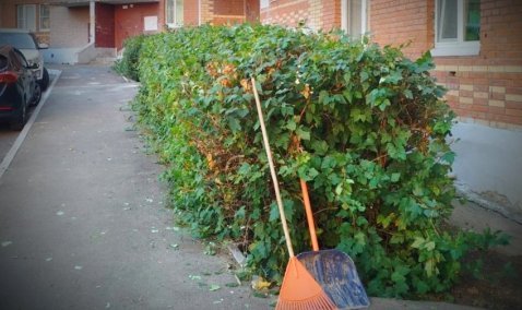 Крупнейшую управляющую компанию Каширы лишили лицензии в канун отопительного сезона