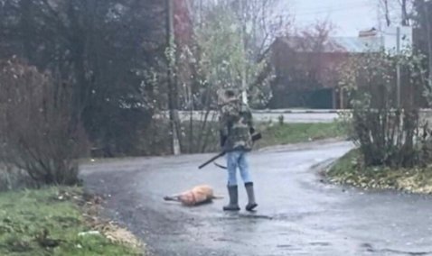 В Кашире будут судить мужчину, убившего и истязавшего собаку на глазах детей