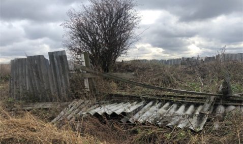 За открытый скотомогильник фирму из Каширы заставили частично приостановить деятельность