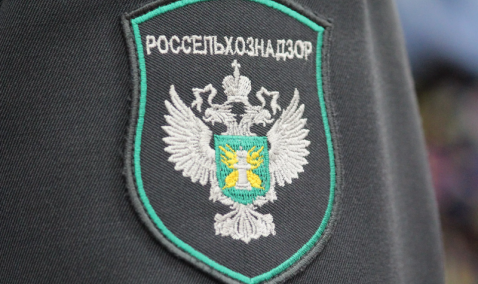 На заводе «Черкизово-Кашира» выявлены нарушения ветеринарного законодательства