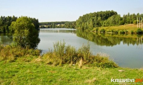 На пруду в деревне Аладьино утонул мужчина
