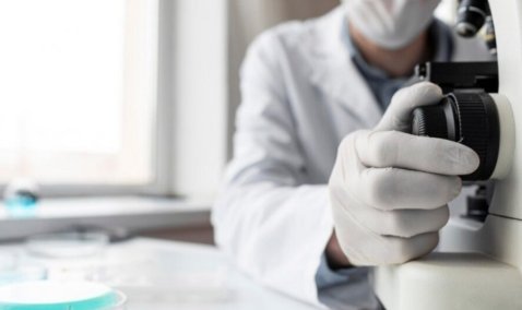 Более 3 тонн некачественного мяса из Каширы не пустили в реализацию в Ленинградской области