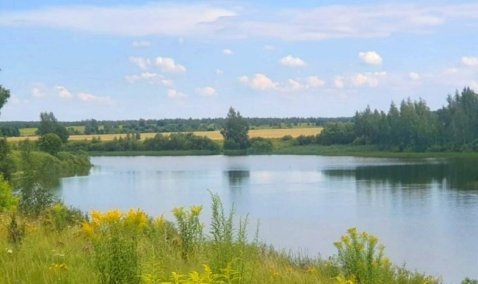 Жители деревни под Каширой пожаловались в Минэкологии на загрязнение пруда