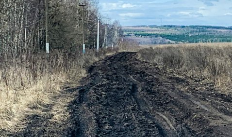 Более 33 тысяч голосов и рекордсмены Подмосковья из Каширы: на «Доброделе» завершилось голосование по дорогам