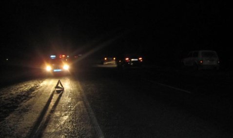 Пешеход попал под колеса неустановленного автомобиля на автодороге Кашира – Серебряные Пруды – Кимовск – Узловая