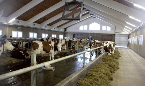 Россельхознадзор заставил фермера из Каширы убрать навалы навоза с участка