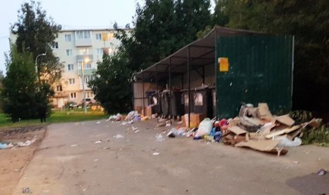 «Каширский региональный оператор» чаще всех в области привлекался к ответственности за состояние контейнерных площадок