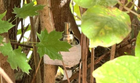 Примотанный к дереву предмет,  похожий на гранату, обнаружили в Кашире-2