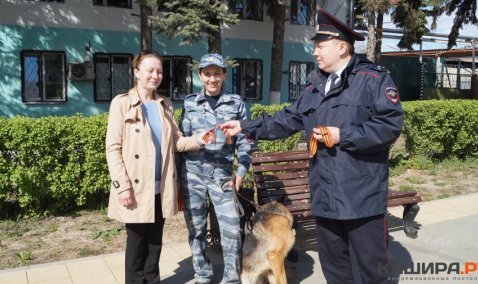 Каширские полицейские присоединились к акции «Георгиевская ленточка»