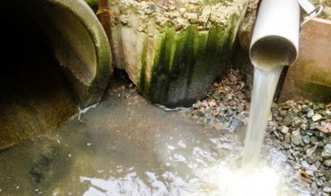 Предприятие в Кашире оштрафовали на 1 миллион рублей за сброс сточных вод в приток реки