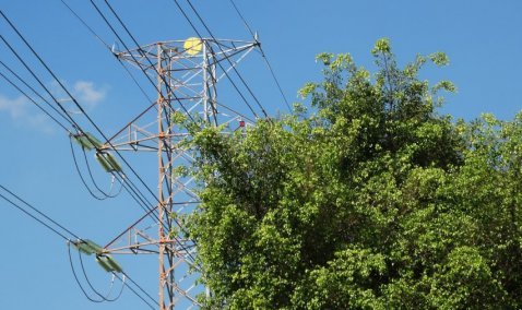 Каширская прокуратура приняла меры в отношении ответственных за электросетевое хозяйство