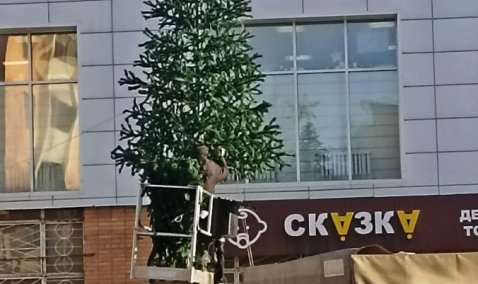 Новую елку решили установить на центральной улице в Кашире-2