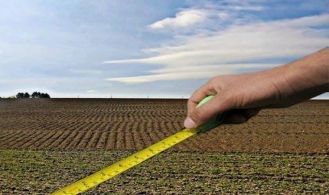 Россельхознадзор оштрафовал на 400 тысяч рублей фирму в Кашире