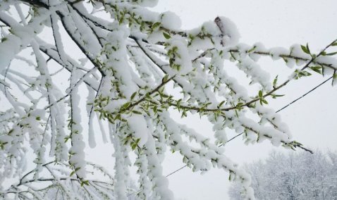 Высота снежного покрова в Кашире побила рекорд за историю метеонаблюдений