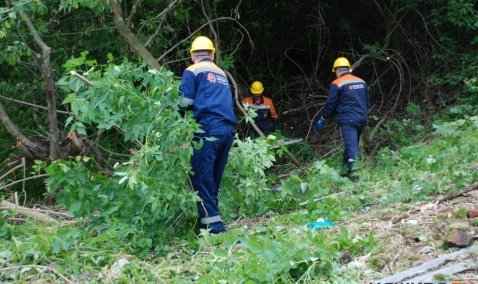 Сотрудники Каширской ГРЭС помогают благоустраивать территорию Никитского монастыря