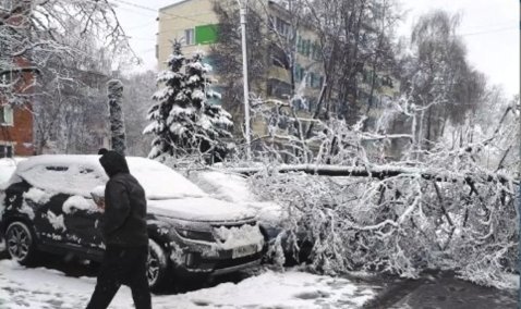 Апрельский снежный удар: в Кашире проблемы с электричеством и задержки электричек