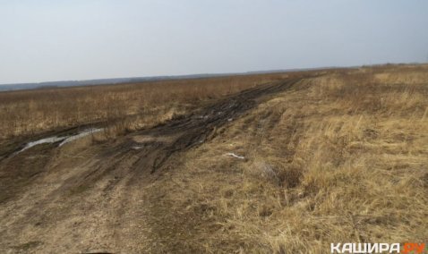 Из грунта в асфальт: лидерами завершившегося голосования по ремонту дорог стали «грунтовки»