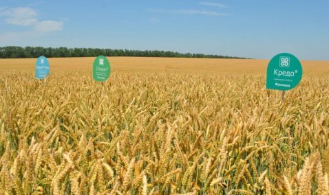 Ведущий производитель химических средств защиты растений планирует построить в Кашире полевую опытную станцию